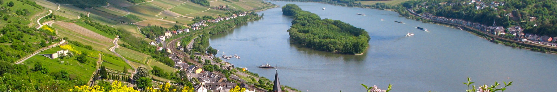 rheingau_header rheingau_header