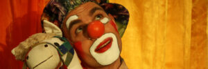 Clown Schimmel